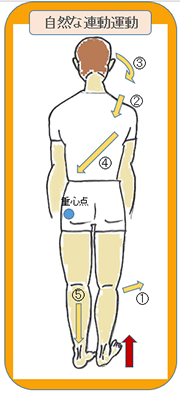 自然な連動運動